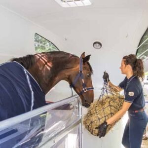 Reboque para Cavalos Böckmann Comfort Pack Esprit