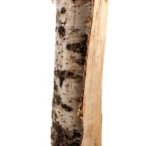Halbe Palette kammergetrocknetes gespalten Birke Brennholz 25cm