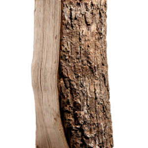 Halbe Palette kammergetrocknetes gespalten Esche Brennholz 25cm