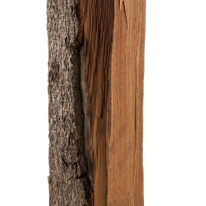 Palette kammergetrocknetes gespalten Hainbuche Brennholz 33cm
