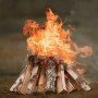 Heizfuxx Brennholz Hartholz-Mix 33 cm – 1,8 RM / 750 kg